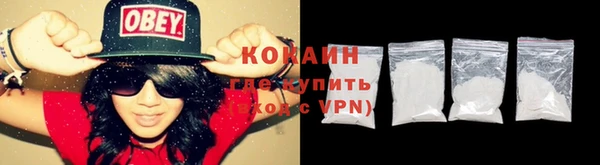 тгк Новодвинск