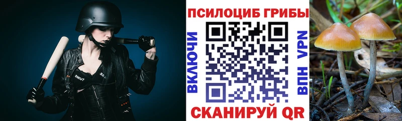 Галлюциногенные грибы Psilocybine cubensis  Губкинский 